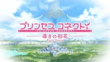 Связь принцесс: Руководство первого цветка: Фиоре Стория
