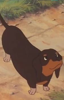 Авель