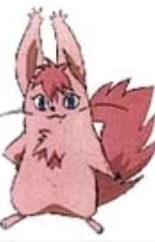 Джеруша