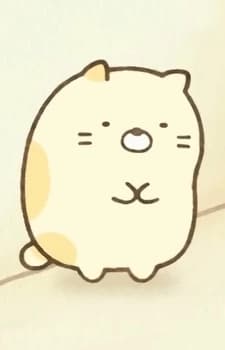 Кот