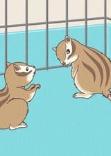 Энциклопедия жалких созданий: Спецвыпуски