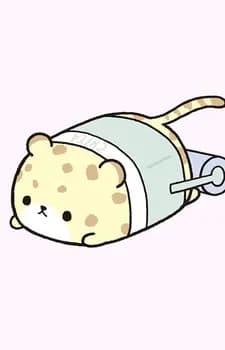 Chitakeshi